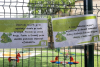 shared-image-4