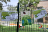 shared-image-5