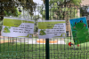 shared-image-6