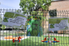 shared-image-7