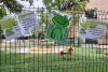 shared-image-8