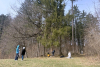 Image-57
