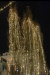shared-image-3